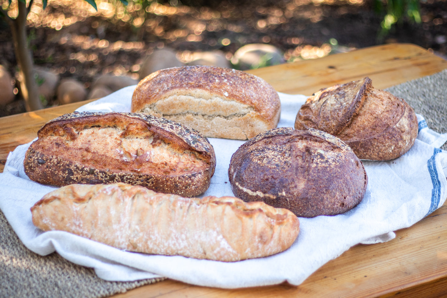 Ultimate Package | Sourdough Bread Delivery (Available for Moorreesburg or Hout Bay Pickup on certain dates)