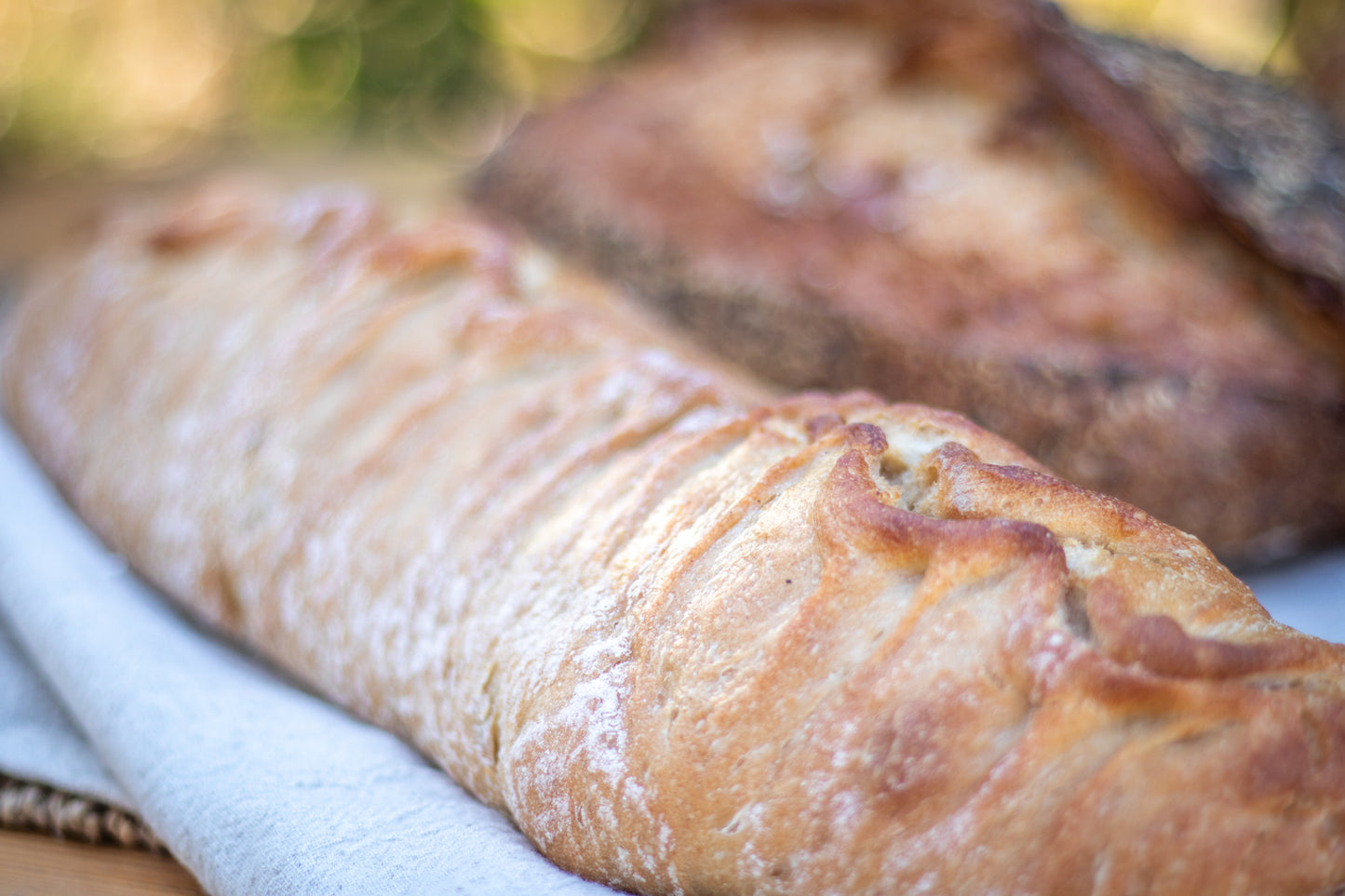 Intro Package | Sourdough Bread Delivery (Available for Moorreesburg and Hout Bay Pickup on certain dates)