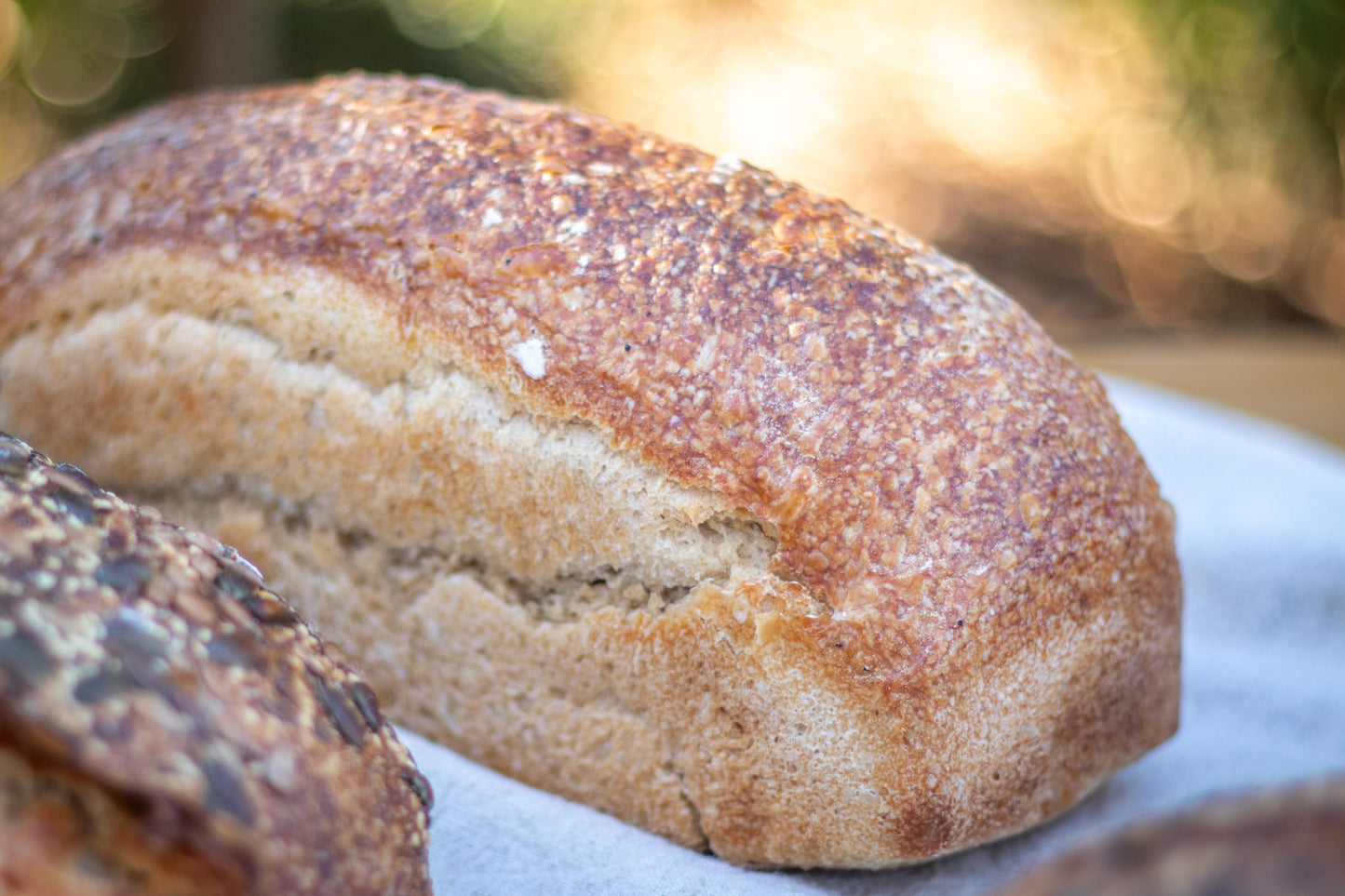 Intro Package | Sourdough Bread Delivery (Available for Moorreesburg and Hout Bay Pickup on certain dates)