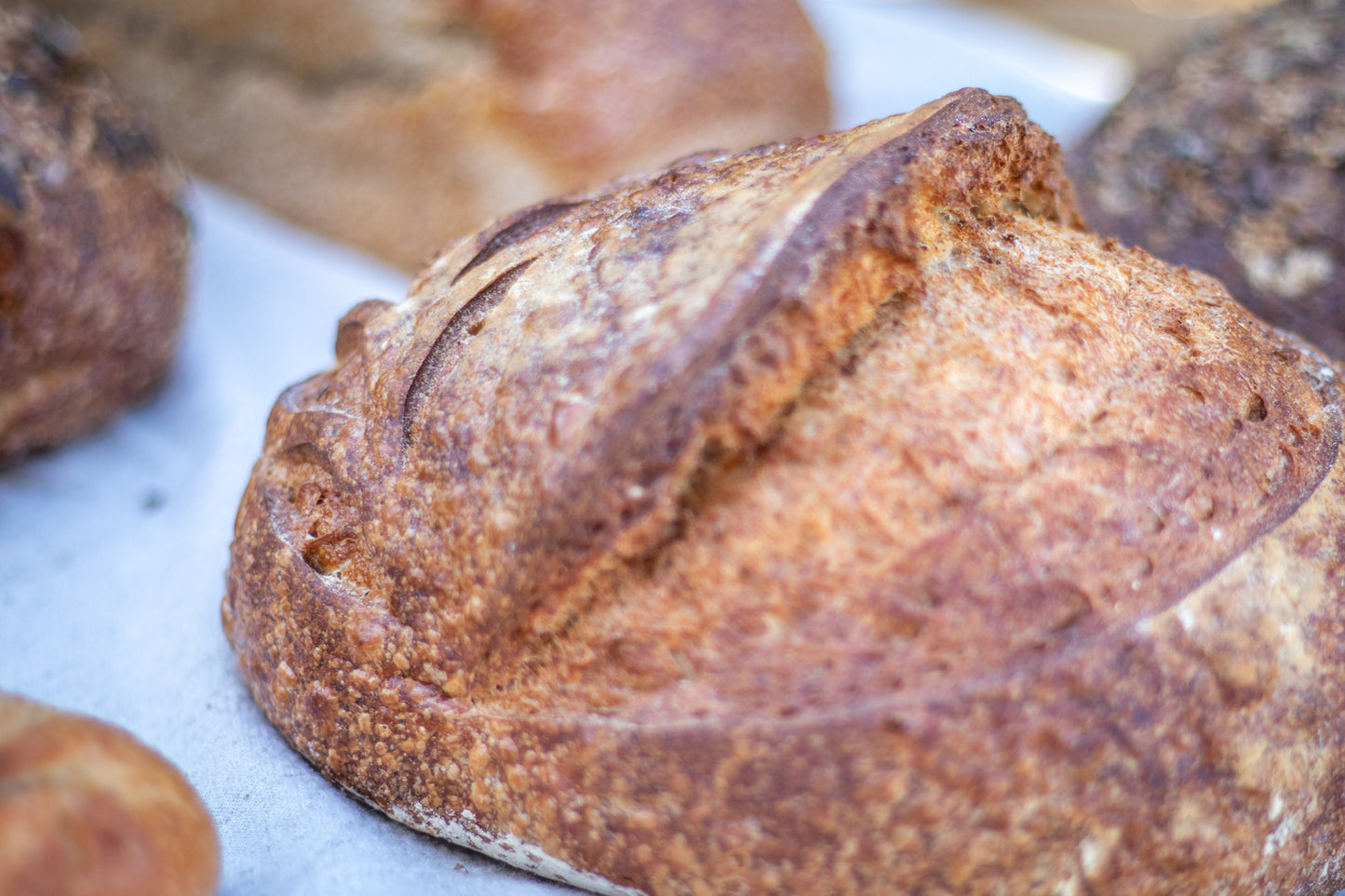Ultimate Package | Sourdough Bread Delivery (Available for Moorreesburg or Hout Bay Pickup on certain dates)