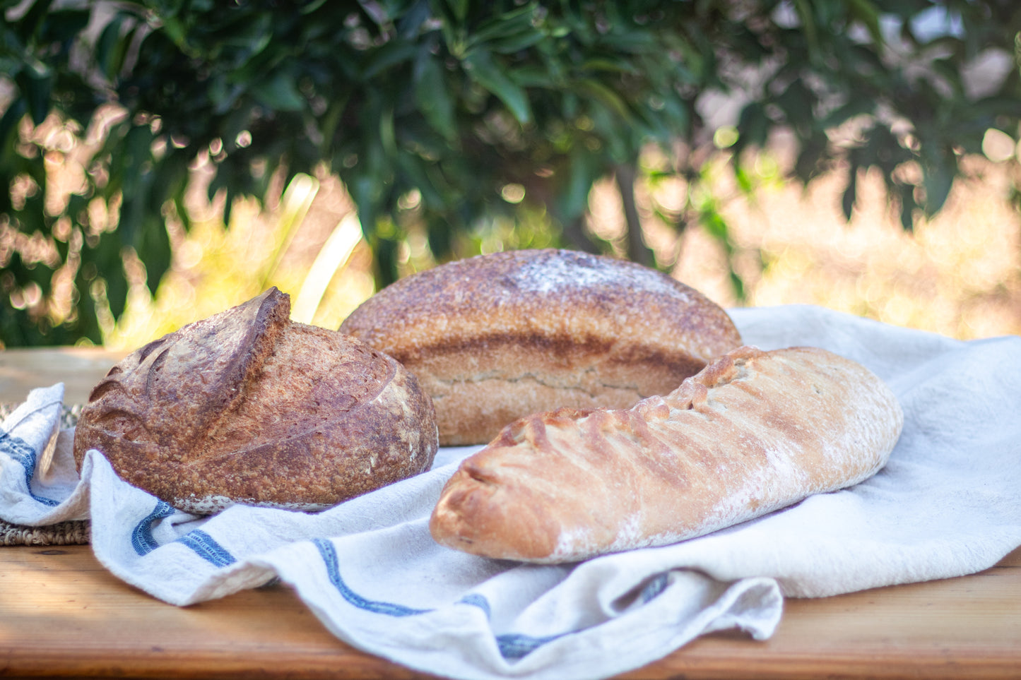Intro Package | Sourdough Bread Delivery (Available for Moorreesburg and Hout Bay Pickup on certain dates)