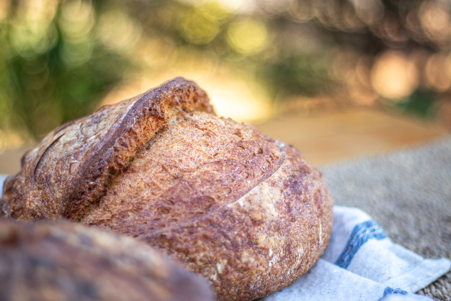 Intro Package | Sourdough Bread Delivery (Available for Moorreesburg and Hout Bay Pickup on certain dates)